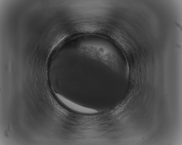 X0000097820399200803281126