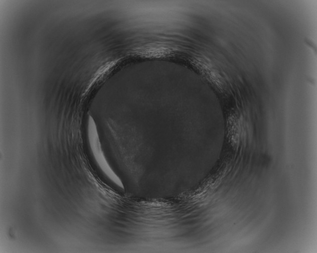 X0000097820400200803281126