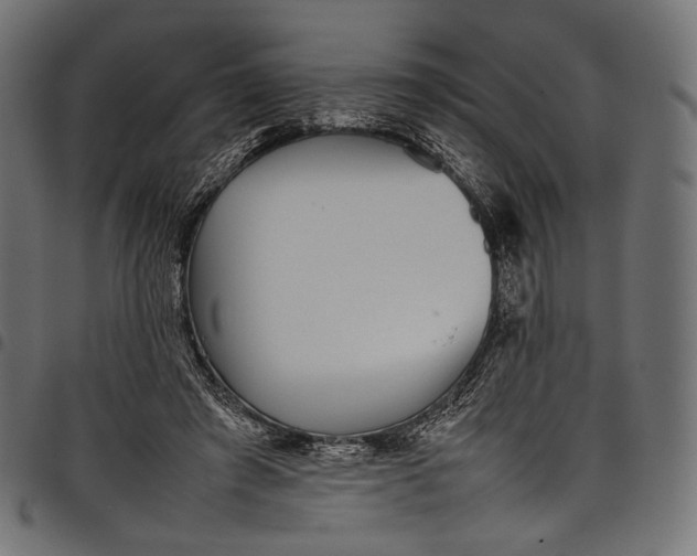 X0000097820401200803281126