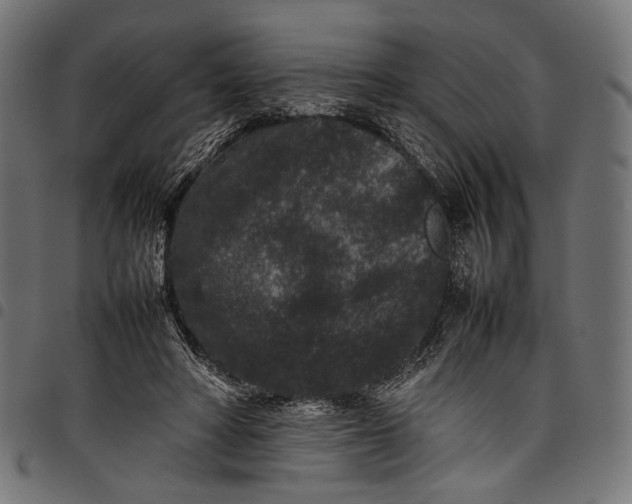 X0000097820402200803281126