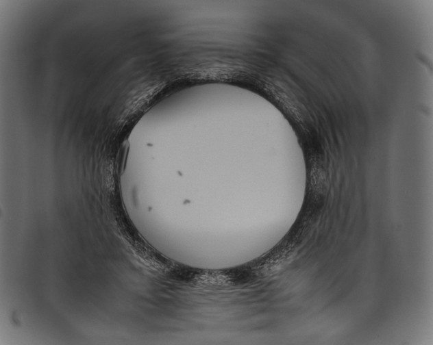 X0000097820403200803281126