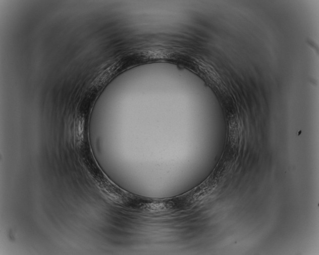 X0000097820406200803281126