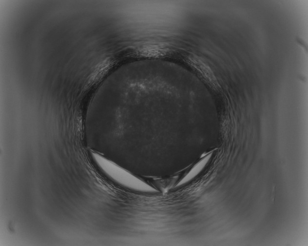 X0000097820407200803281126