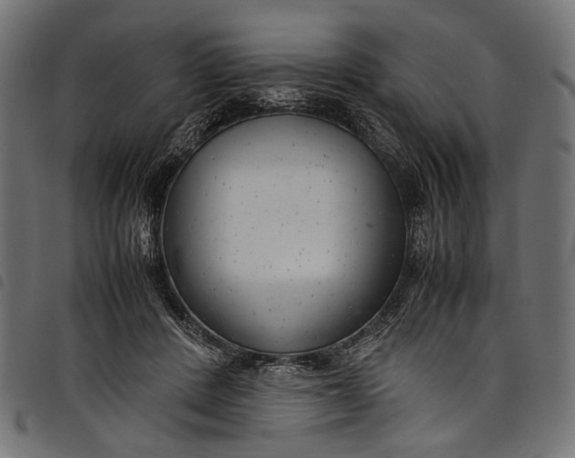 X0000097820408200803281125