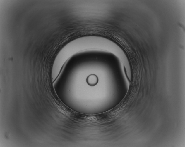 X0000097820409200803281125