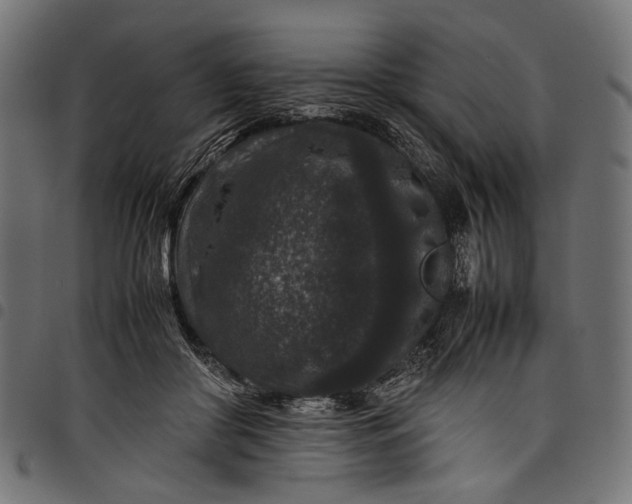 X0000097820410200803281125