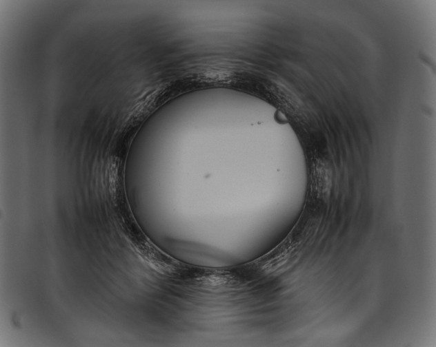 X0000097820412200803281125