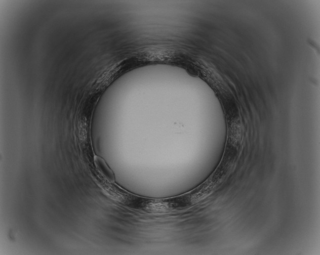 X0000097820413200803281125