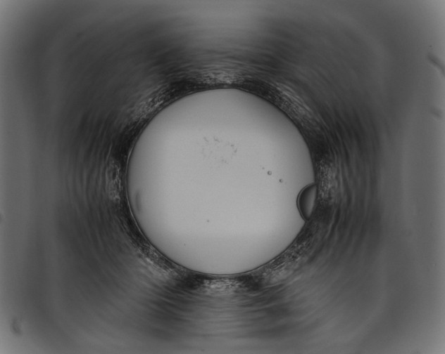 X0000097820414200803281125