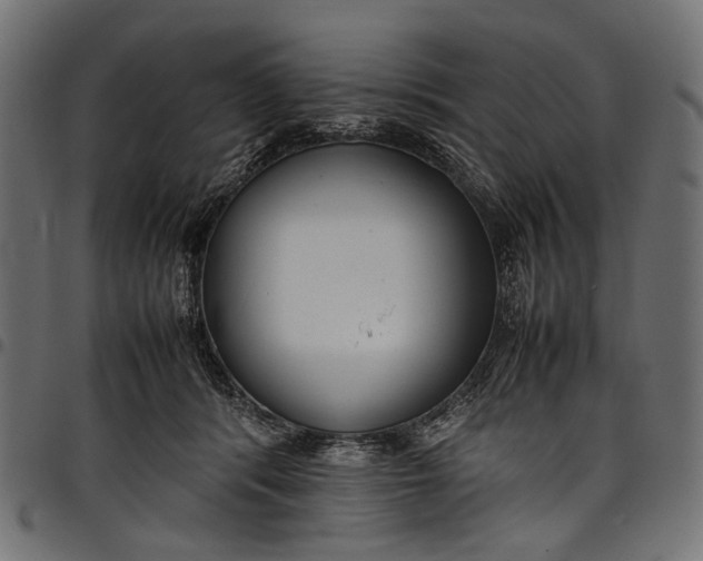 X0000097820416200803281125