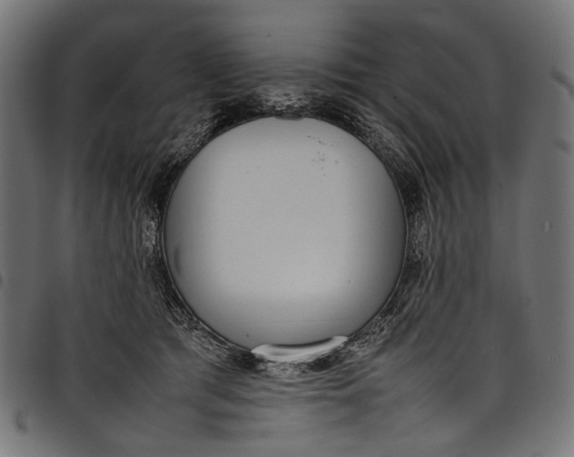 X0000097820417200803281125