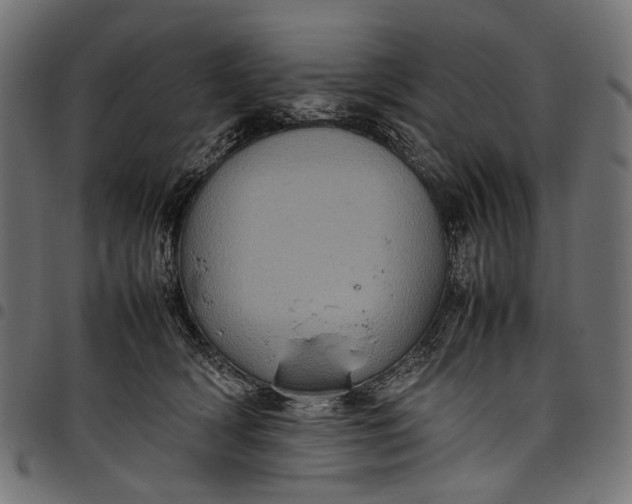 X0000097820418200803281125