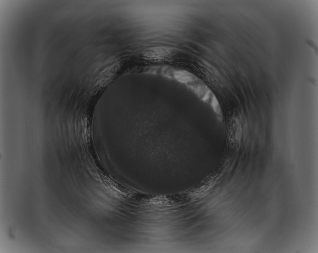 X0000097820420200803281125