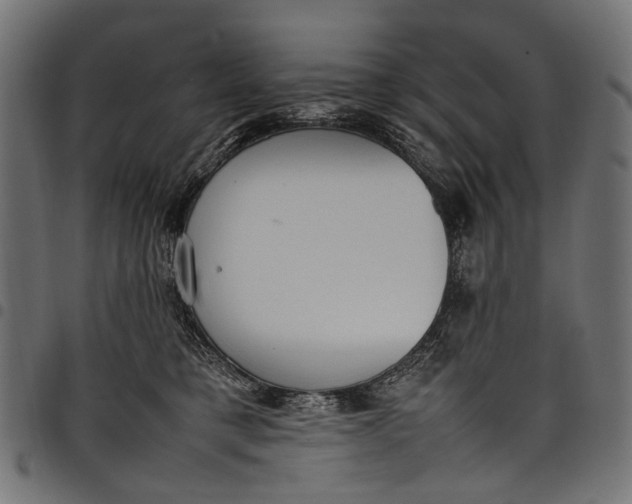 X0000097820421200803281125