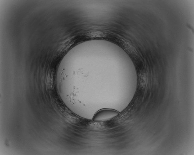 X0000097820422200803281125