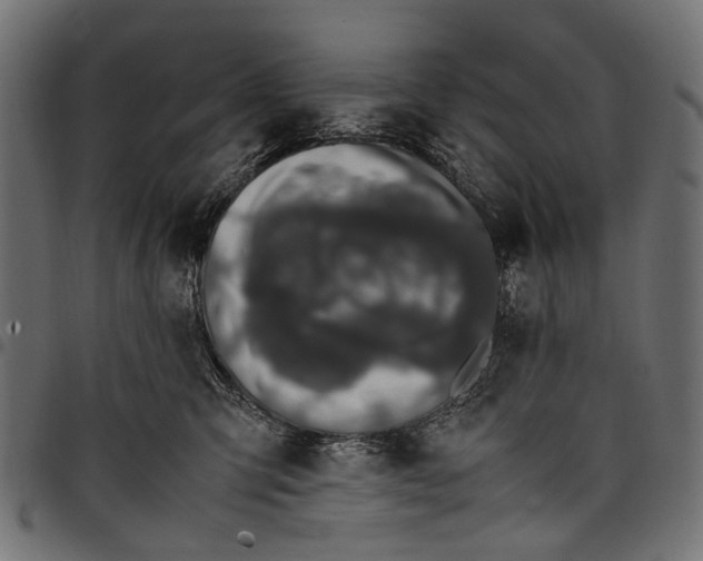 X0000097820423200803281125