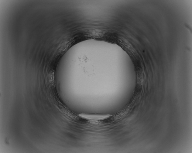 X0000097820425200803281125