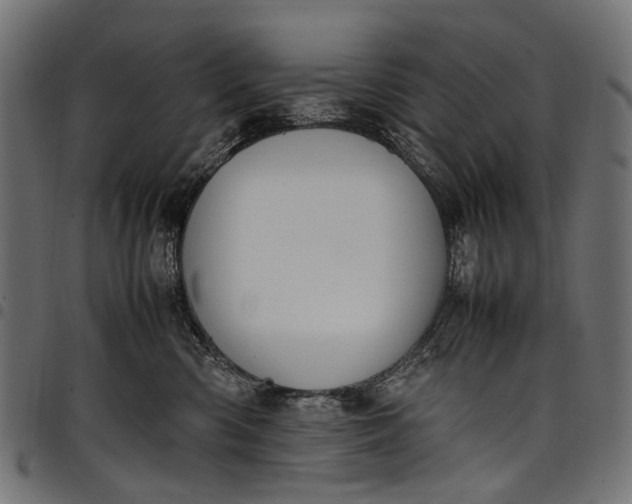 X0000097820426200803281125