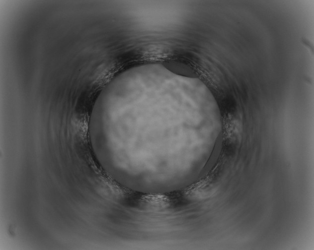 X0000097820427200803281125