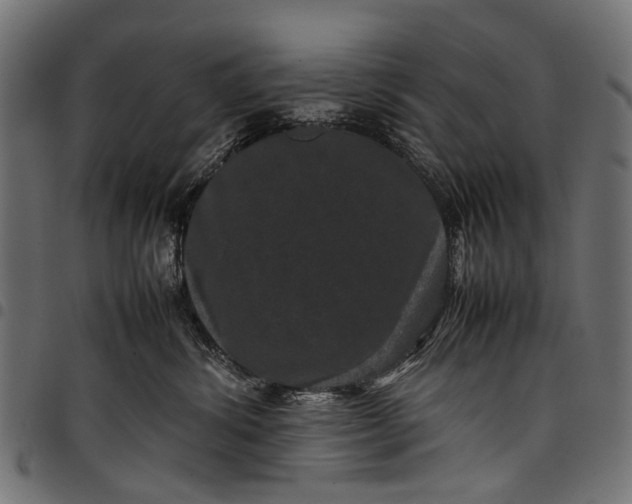 X0000097820428200803281125