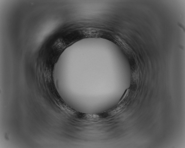 X0000097820429200803281125