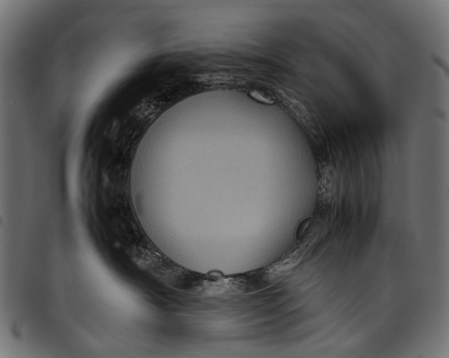 X0000097820430200803281125