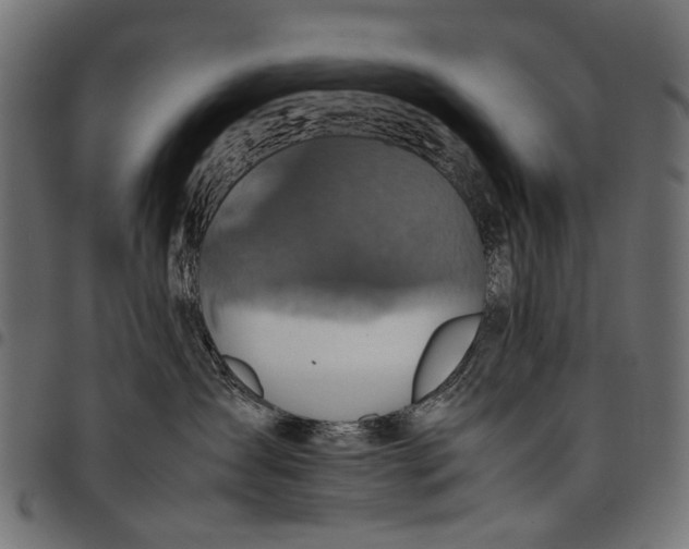 X0000097820431200803281125