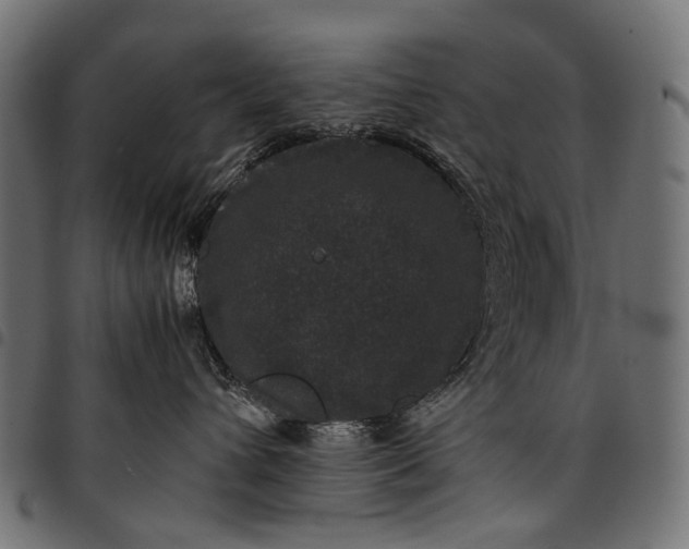 X0000097820432200803281125