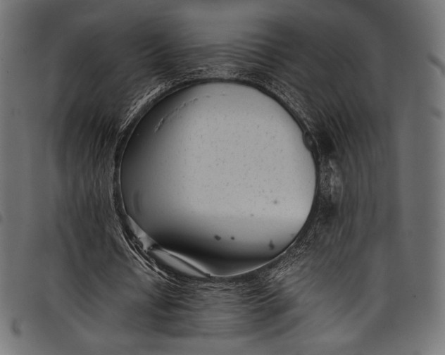 X0000097820434200803281124