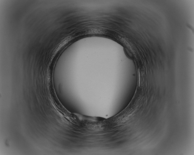 X0000097820435200803281124