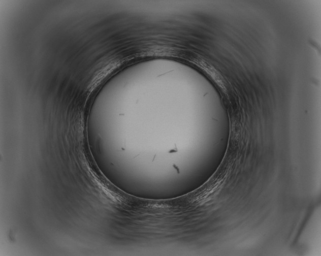 X0000097820437200803281124