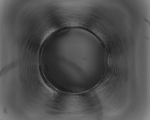 X0000097820438200803281124