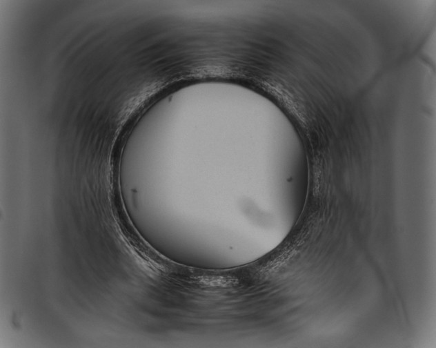 X0000097820439200803281124