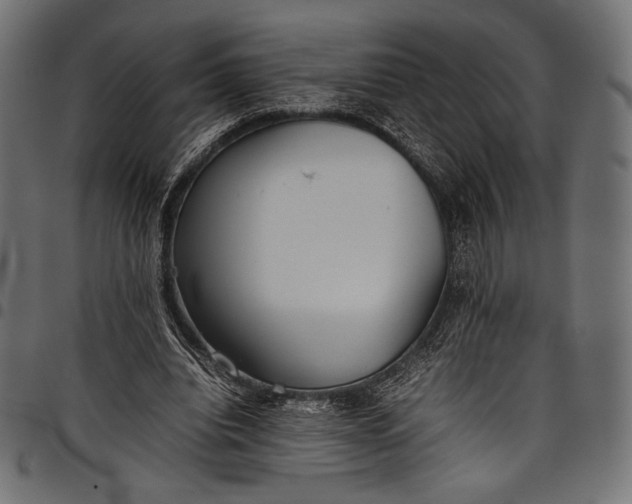 X0000097820440200803281124