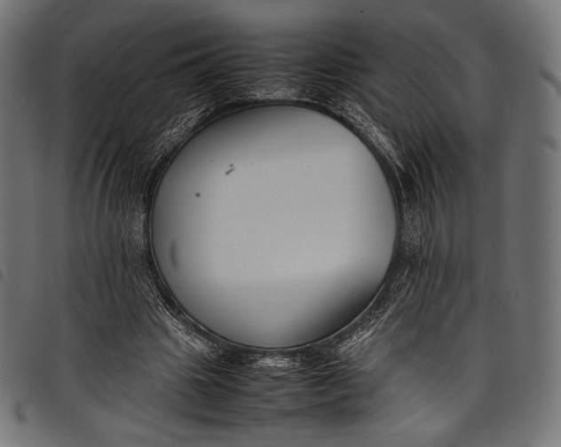 X0000097820441200803281124