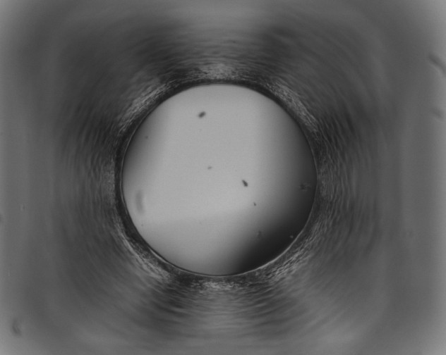 X0000097820442200803281124