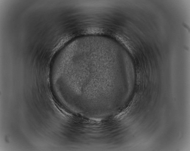 X0000097820443200803281124