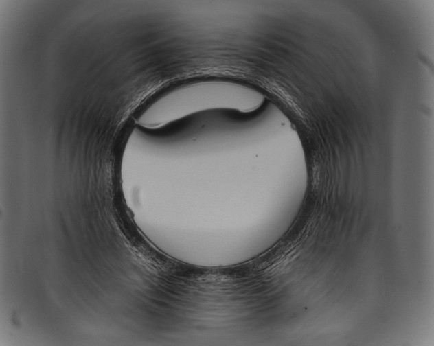 X0000097820444200803281124