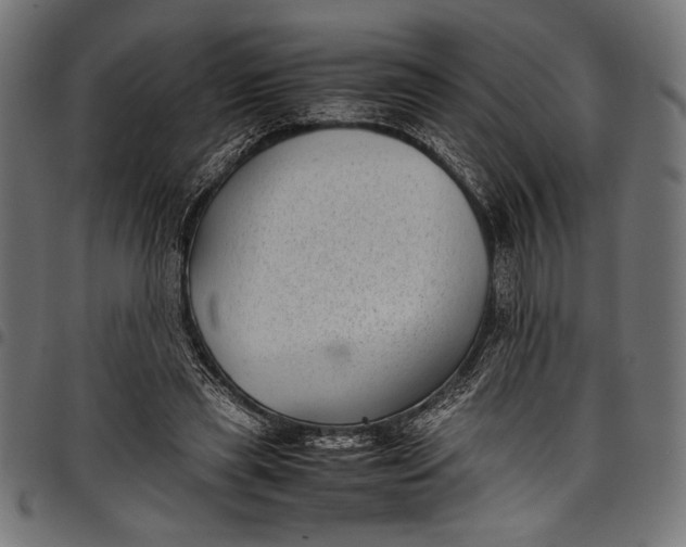 X0000097820445200803281124