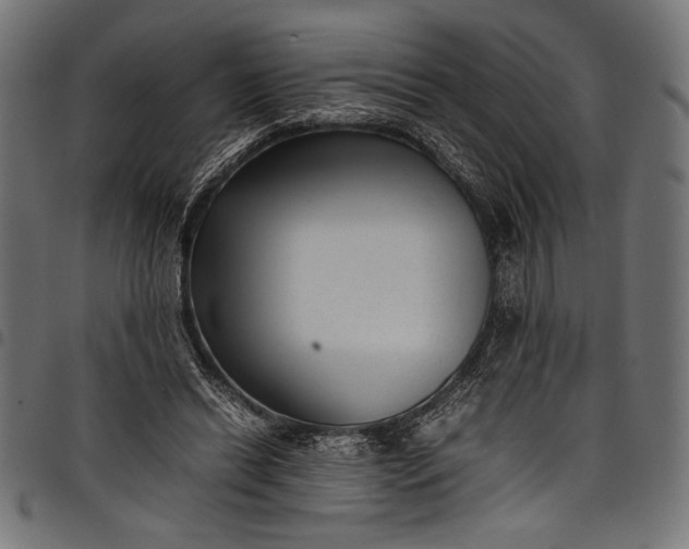 X0000097820446200803281125