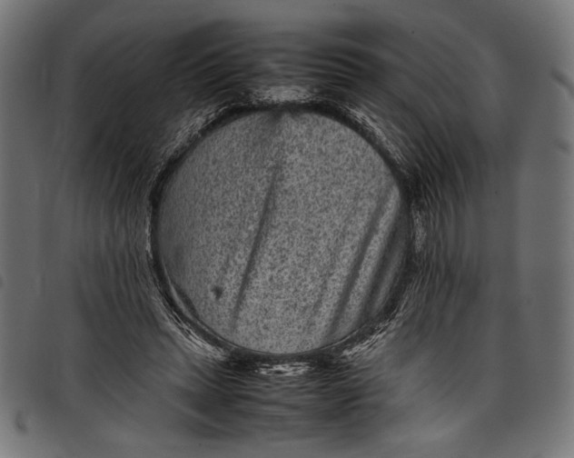 X0000097820447200803281125