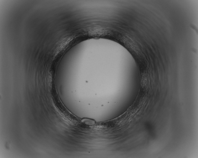 X0000097820448200803281125