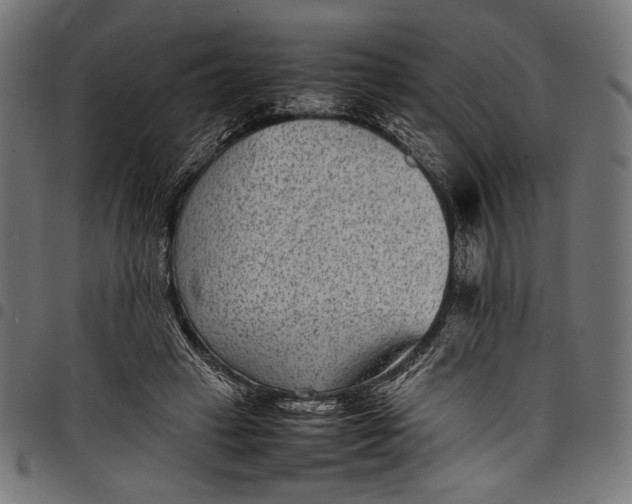 X0000097820449200803281125