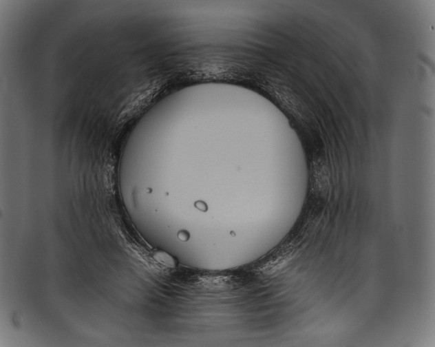 X0000097820450200803281125