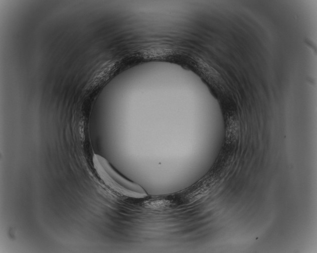 X0000097820452200803281125