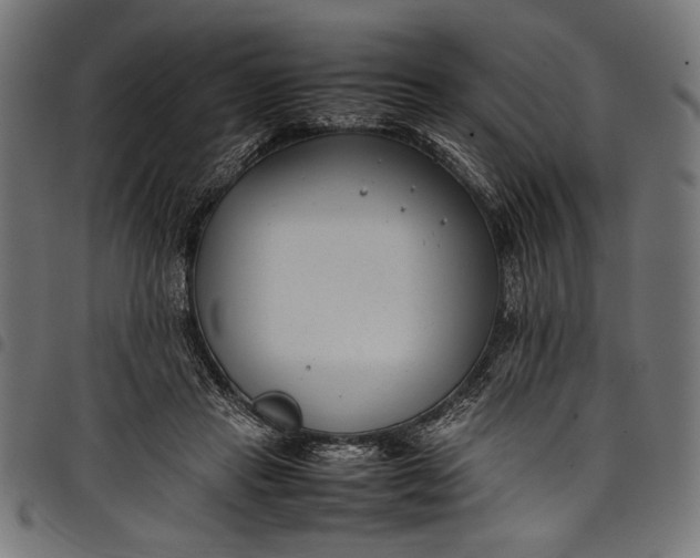 X0000097820453200803281125