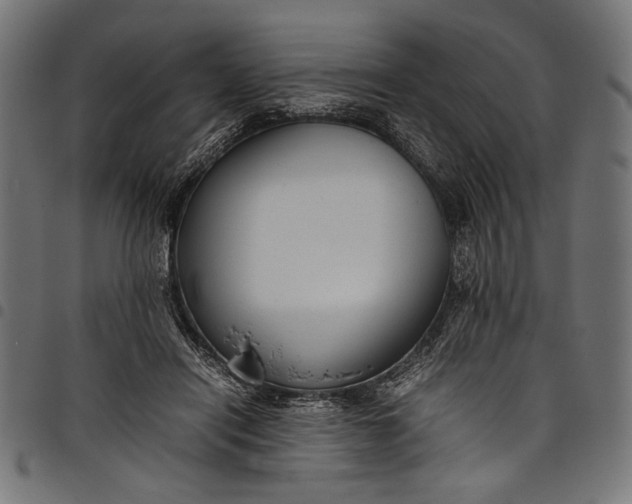 X0000097820454200803281125