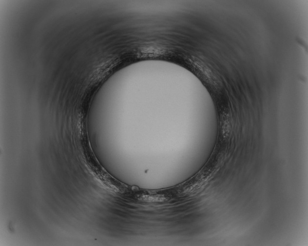 X0000097820455200803281125