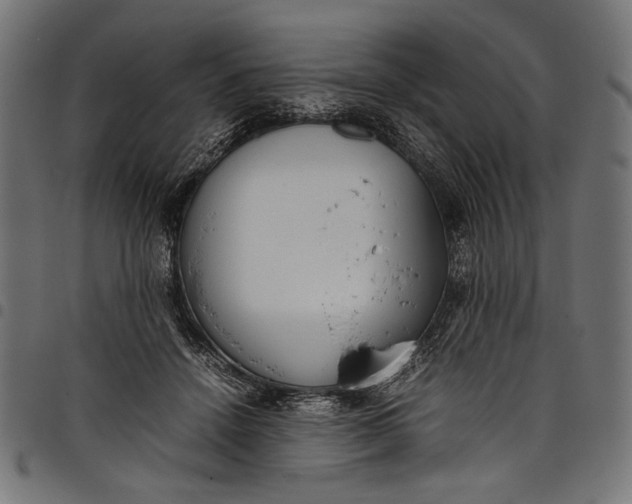 X0000097820456200803281125