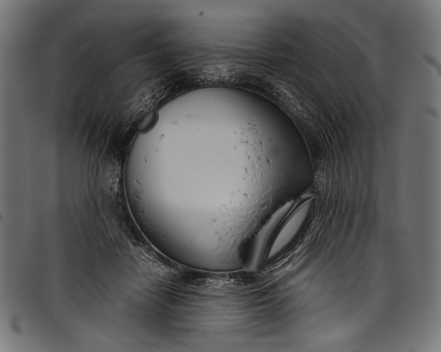 X0000097820458200803281125